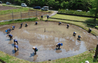 20080519-00000020-maiall-soci-thum-000