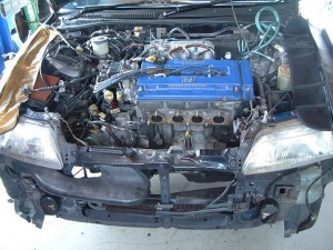 brog-8761