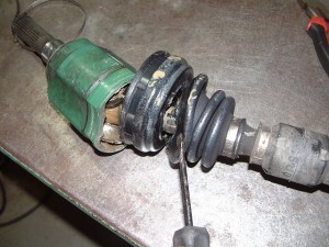 brog-1519