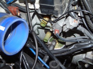 brog-288