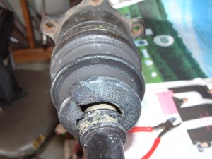 brog-545