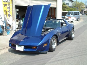 brog-579