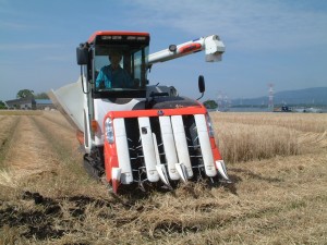brog 544