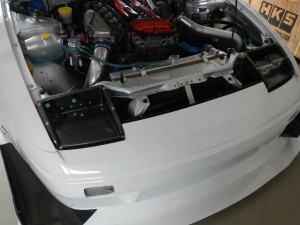 DSCN6010