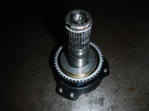 DSCN9992