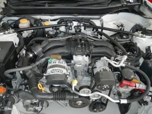 DSCN5335