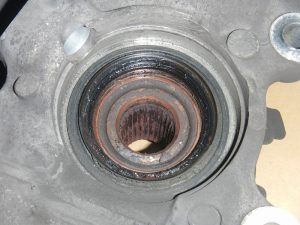 DSCN6980