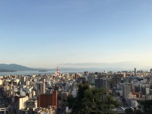 IMG_4894