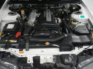 DSCN8052